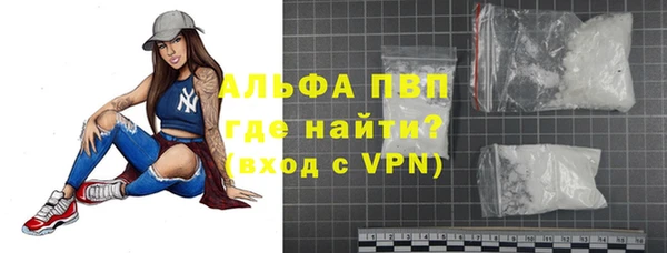 сатива Баксан