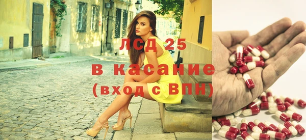 сатива Баксан